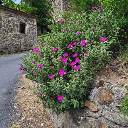 Chez Daniel Cevennes 3 *