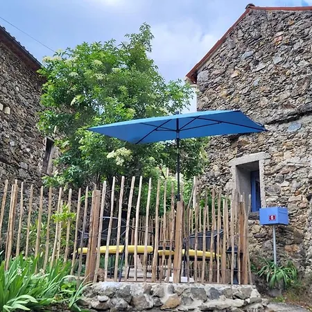 Chez Daniel 